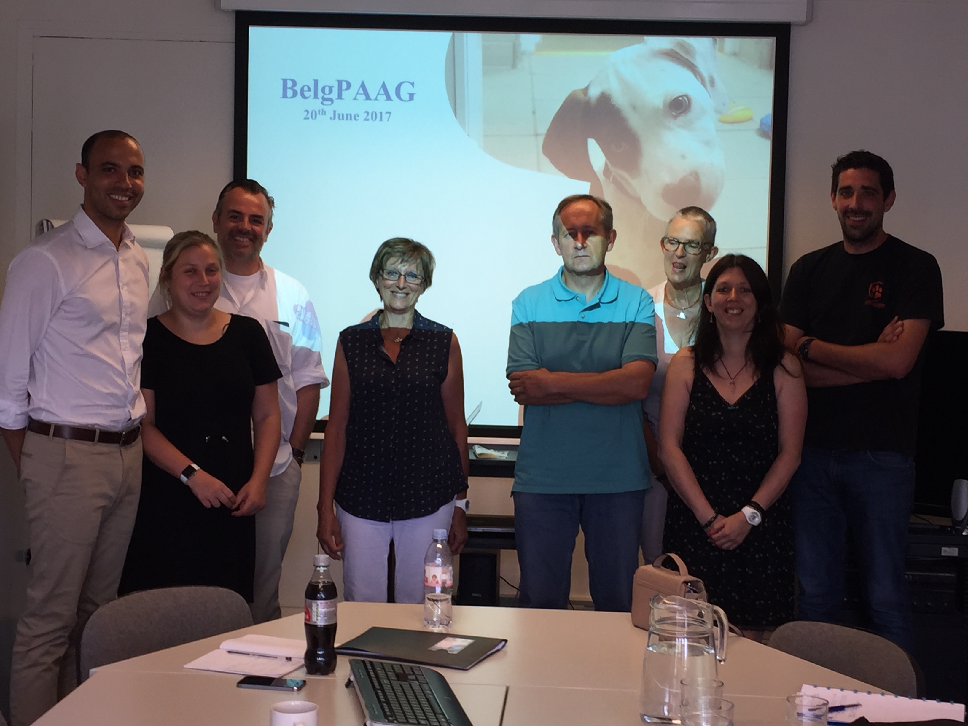 Belgium launches new animal welfare initiative to tackle the high risk online sale of pets